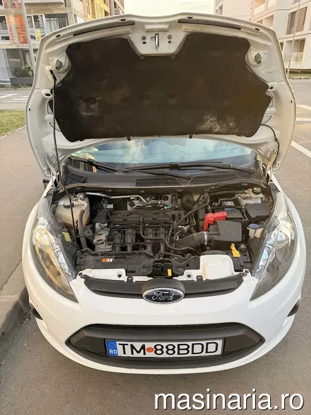 Ford Fiesta #9