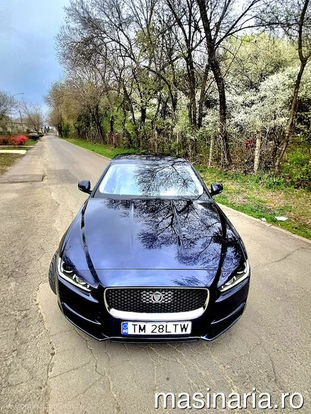 Jaguar XE #5