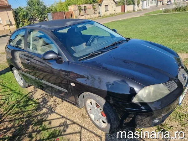 Seat Ibiza #1