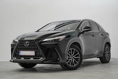 Lexus NX Series (Toate)