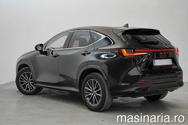 Lexus NX Series (Toate) #3
