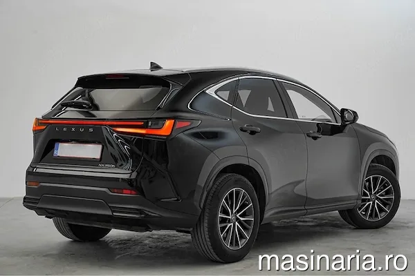 Lexus NX Series (Toate) #4