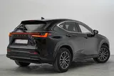 Lexus NX Series (Toate) - 4