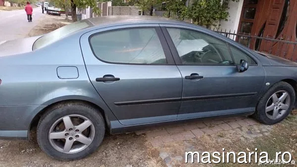 Peugeot 407 #1
