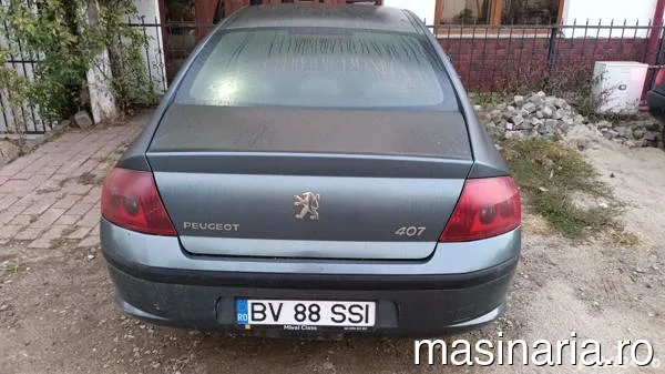Peugeot 407 #6