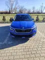 Skoda Kamiq - 1